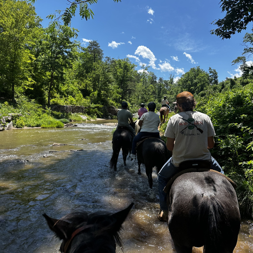 A group of people on horseback cross a shallow, sunlit stream in a lush, green forest. The sky is clear blue with a few scattered clouds.