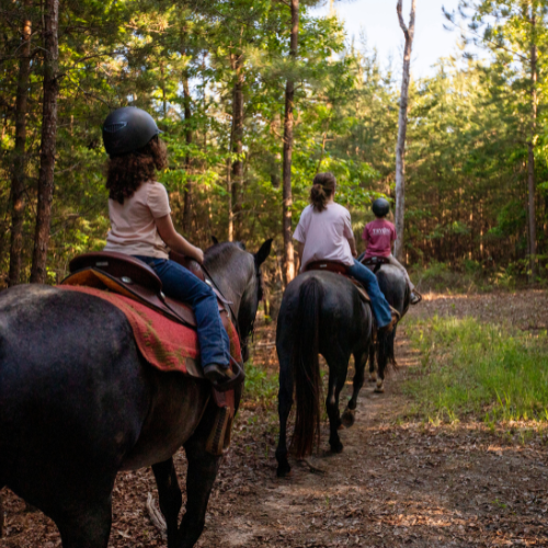 Three people ride horses along a wooded trail, wearing helmets, surrounded by green trees. The scene conveys a peaceful, adventurous atmosphere.