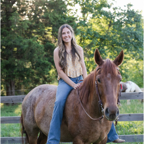 A smiling woman with long hair sits on a brown horse, surrounded by green trees and a wooden fence. The scene conveys a peaceful, sunny outdoor setting.