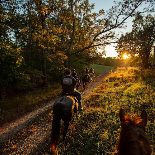 A group of people rides horses along a sunlit dirt path surrounded by lush trees and grass during a serene sunset, creating a peaceful, warm atmosphere.
