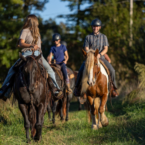 Three people are horseback riding on a grassy trail surrounded by trees. They wear helmets, and the atmosphere is relaxed and sunny.