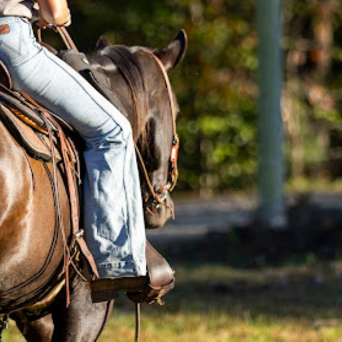 A person in jeans and a T-shirt rides a brown horse through a sunlit forest. The scene conveys a peaceful, relaxed outdoor atmosphere.