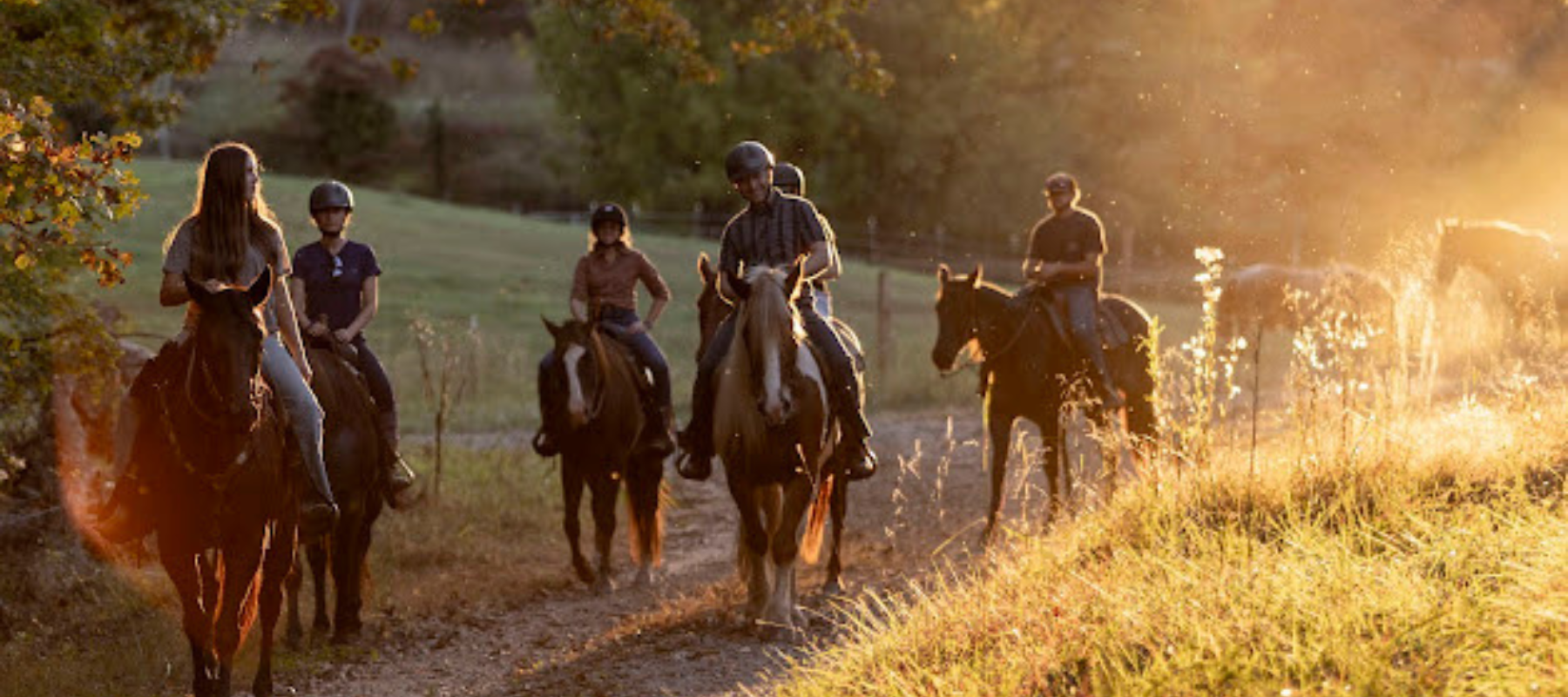 A group of five people riding horses on a sunlit trail, with golden light filtering through trees. The scene conveys a serene and peaceful atmosphere.