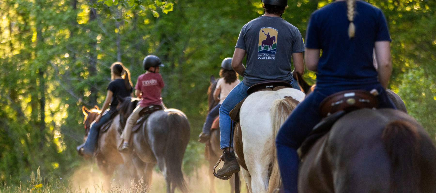 A group of people rides horses through a sunlit forest trail, dust rising behind them. The scene is serene and vibrant with lush greenery.